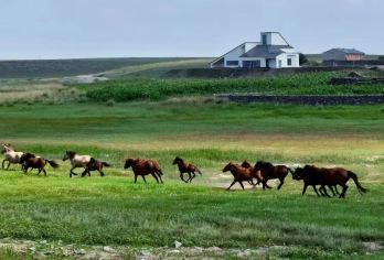 乌兰察布涝利海＋乌兰哈达火山1日游【2-6人小团纯玩0购】【下单请备注好详细信息（姓名.电话）提前一天与您联系.】