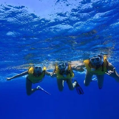 美国大岛(夏威夷岛)欧胡岛潜水体验一日游