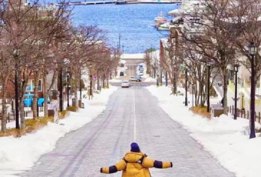 日本札幌-小樽网红景点/可登别富良野北海道多日包车-精选【包车一日游，解锁旅行新方式！独立车辆配备经验丰富的老司机，为您量身打造专属行程。】