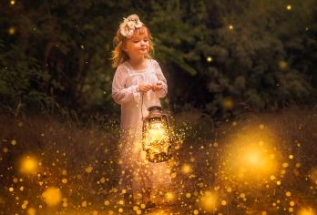 亚庇Kawa红树林萤火虫一日游丨威士顿/天镜/双河道可选【自营kawa专属赠送椰子布丁，细腻香浓，吃货们的福利，还可以观赏到涂滩落日】