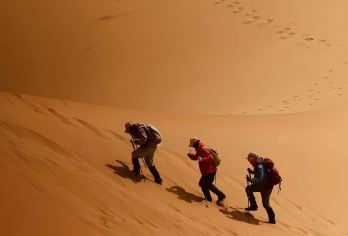 【库布齐纯玩一日游】沙漠秘境探奇・6 人团・专车直达・无购物【一人也成团，拒绝转拼转卖！专车专导全程专属服务，告别 “套团” 烦恼，高速直达景区，把时间留给风景】