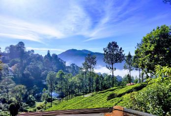 嘉义：阿里山一日游（台中／嘉义／高雄出发）【专车上门接送 行程可调】