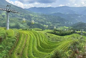 桂林：芦笛岩和龙脊梯田一日包团 【参观世界上*大的梯田之一。 了解桂林独特的少数民族文化。 参观芦笛岩，然后前往龙脊梯田】