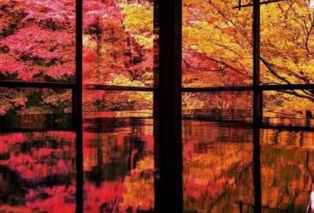 日本京都.琉璃光院.三千院-岚山巍峨野小火车-红叶巡礼红叶季【专业行程定制，精选热门景点，高效游玩不走回头路，贴心服务保障，轻松】