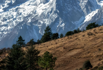 丽江玉龙雪山牦牛坪(中索道）+蓝月谷一日游7-9人小团【[日照金山] 免费升级日照金山（5:30左右） 正常出发(7:00)左右 ！ 自由选择】