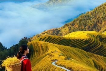 桂林龙脊梯田+金坑梯田+金佛顶+黄洛瑶寨1日游【8人小团】【8人小团：灵活性强，服务更精细，自由度更高】