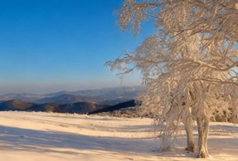 哈尔滨牡丹江-亚雪公路/雪乡冰雪画廊/雪乡|纯玩一日游【我司为本地司机、专业接待、不欺瞒客人】