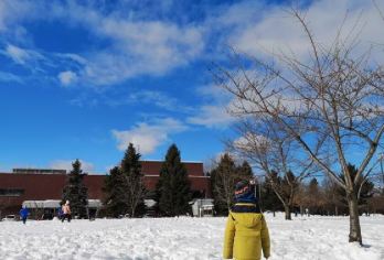日本北海道+旭川动物园+旭山寺一日游/行程可调-可定制多日【包车一日游，解锁旅行新方式！独立车辆配备经验丰富的老司机，为您量身打造专属行程。】