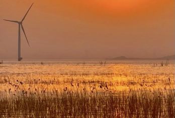 野鸭湖国家湿地公园一日游【12点集合 芦苇与雪山落日-拍照】【[拍落日]12点集合出发，拍落日后返程 保证纯玩无购物，无套路，纯净旅游】