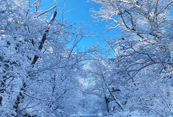 二道白河上门接送 | 夜场灯光秀+长白山魔界漂流半日游【2人起定，含往返交通+漂流门票】