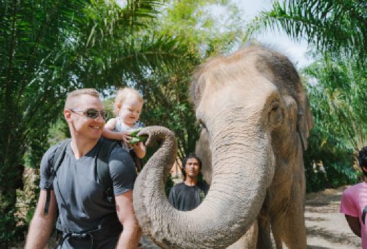【全球亲子榜景点上榜】普吉岛奈迪大象保护营半日游 享旅拍【[景区理念]：我们肩负保护和拯救大象的使命，提倡人与自然的和谐相处，愿我们的理念让更多的人知道。】