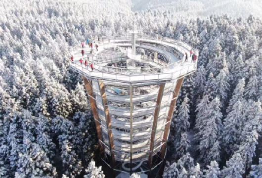 重庆全景仙女山+树顶漫步+小火车+导游+送手套暖宝宝赏雪玩雪【含仙女山+树顶漫步+网红波浪公路+小火车】