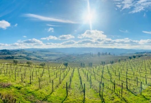 意大利锡耶纳+圣吉米尼亚诺+比萨斜塔【基安蒂酒庄需预约】【家庭/亲子/情侣/度假 ，深度畅游，出行全程无忧。】