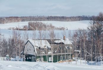 北海道戏雪一日游：旭山动物园+青池+四季彩之丘|9-13人团【小团纯玩无购物，享受悠闲假期】