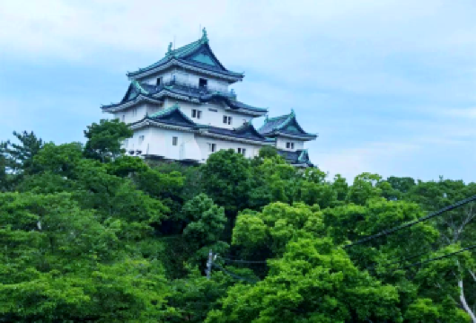 日本大阪+和歌山+三段壁+千叠敷一日游/行程可调-可定制多日【包车一日游，解锁旅行新方式！独立车辆配备经验丰富的老司机，为您量身打造专属行程。】