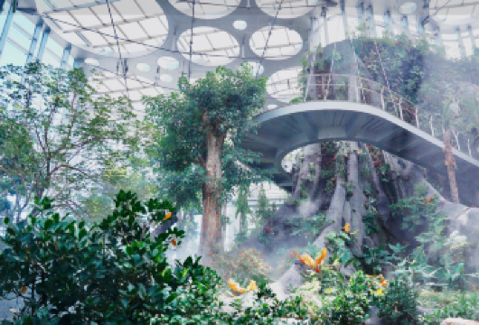 上海温室花园＋上海千古情＋外滩包车游【上海市内】【[精品纯玩]真正的纯玩无购物无隐形消费，包含用车，可加订专业导游，让您的旅途更精彩！】