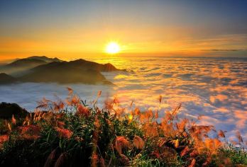 回嘉森呼吸經典行一日遊【二延平步道、奮起湖車站、老街、杉林步道、阿里山森林遊樂區】