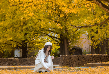 【银杏村+云峰山一日游】观云海赏银杏2—6人精品纯玩团【瞬息万变的云海奇观，与山间的奇石、古刹相映，仿佛一脚踏入了空灵仙境，令人忘却尘世纷扰。】