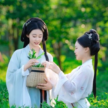 【清明踏青】武夷山主景+九曲竹筏+印象大红袍（可选）一日游