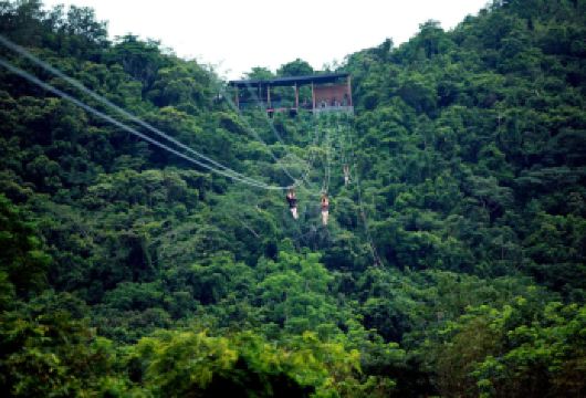保亭呀诺达热带雨林旅游区一日游【热带雨林畅玩】