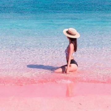 印尼科莫多一日游【帕达尔岛丨快艇出海丨寻龙之旅浮潜粉红沙滩】