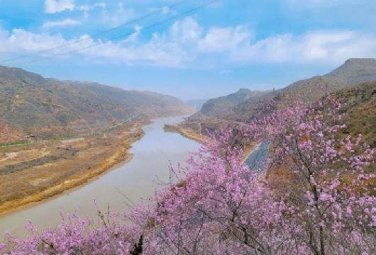 陕西黄河壶口瀑布+南泥湾一日包车游【延安往返】【此产品为包车单独团 按车拍单 拍单后客服与您电话对接行程 如有误 可以免费取消】