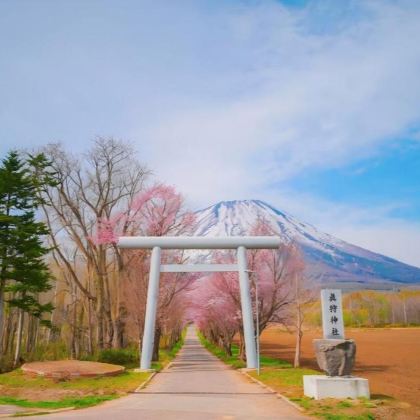 【羊蹄山名水公园】北海道一日游 登别时代村/地狱谷＋洞爷湖
