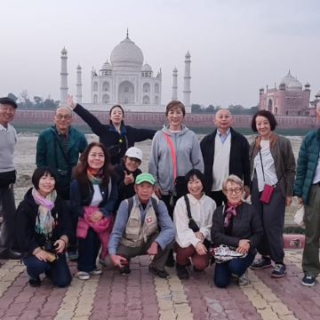 晨曦中的泰姬陵与大象SOS道德野生动物之旅