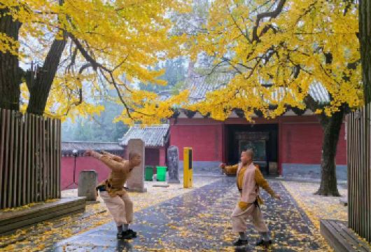 历史之旅：少林寺和龙门石窟私人探索之旅【知识渊博的导游会讲解每个景点的历史和意义，这有助于您更好地了解丰富的文化遗产。 沉浸在少林寺丰富的历史和文化中，这里是中国武术的发源地。 参观联合国教科文组织世界遗产龙门石窟，那里有超过 10 万尊佛教雕像和雕刻在石灰岩峭壁上。】