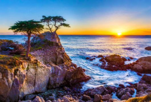 蒙特雷半岛一日游17里湾圆石滩卡梅尔丨不超12人精品小团【[品质之选]礼安那国际——安全与舒适的不二之选】