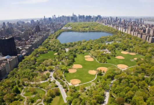 纽约经典地标深度游|10小时包车专属体验，解锁大苹果城市魅力【近距离观赏自由女神像，感受美国历史的象征，追溯美国梦的起源】