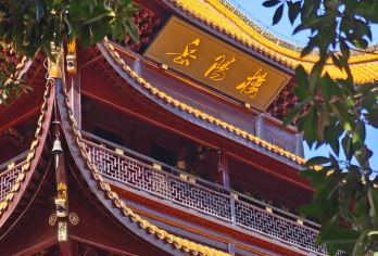 岳阳楼+岳阳市博物馆一日游【2-10人团+深度讲解】【[品质保障]优选商品，品质拒绝购物】