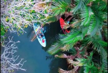 日月湾半日游 雨林浆板 穿越椰林采摘 拍照打卡 专业教练陪同【万宁日月湾雨林桨板 来热带雨林椰林秘境探寻野趣】