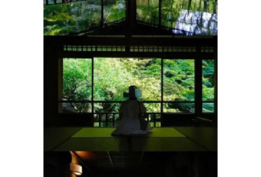 日本大阪-难波八坂神-通天阁-心斋桥-道顿堀-经典经典-购物【专业行程定制，精选热门景点，高效游玩不走回头路，贴心服务保障，轻松】