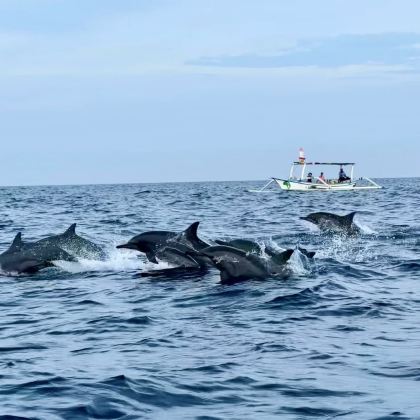 巴厘岛罗威纳沙滩追海豚一日游【可选浮潜海钓漂流火山ATV等】