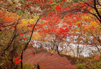 【西安往返】郑国渠+袁家村一日游【[古堰揽胜·烟火袁村]一日穿越千年秦渠，午后漫步关中袁家村，山水人文全收纳！】