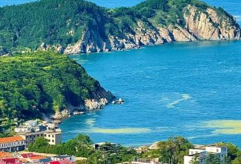 青岛崂山仰口太清一日游【一家一车/不拼团/上门接送/可定制】【[省心直达]直达崂山景区内免换乘，更省心，套餐均含市区接送！】