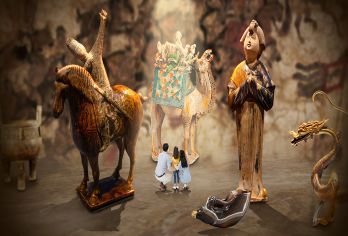 陕西历史博物馆一日游【金牌导游+基础馆+珍宝馆25人团】【成团人数20人左右，节假日期间游客较多，可能会有排队！】