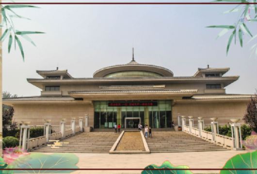 西安博物院+小雁塔半日游【门票+深度人工讲解+耳麦】【[预约服务]预约成功率高，省心省力，】