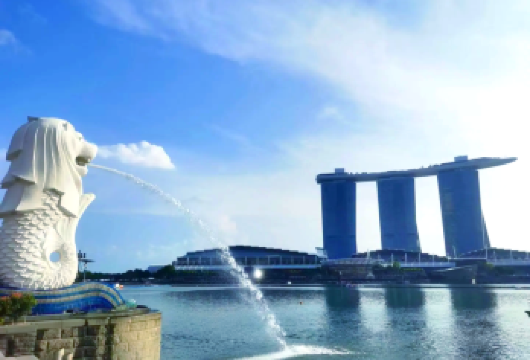 【新加坡深度一日游】滨海湾花园+鱼尾狮公园+牛车水+圣淘沙【包车成团，畅游赤道明珠，体验魅力南洋】