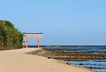 日本 | 宫崎日南海岸青岛+鬼之搓衣板+鹈户神宫包车一日游【太平洋奇岩海岸 × 神话圣地巡礼 × 亚热带风情】