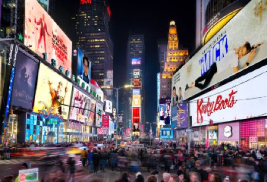 纽约中央公园+公共图书馆+自然历史博物馆+时代广场包车一日游【纽约一日游[私人定制+中文司机+景点自选]】