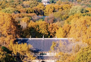 南京：总统府+夫子庙+牛首山+玄武湖  景点可定制导游包车G【全程中文/英文/俄语/小语种服务，沟通无障碍，景点可调,多种车型可选】