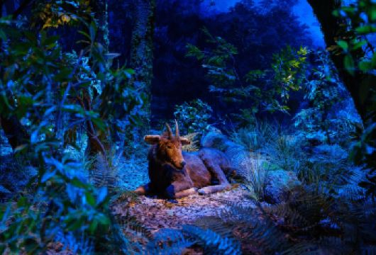 湖州安吉：中南百草园+自然博物馆+欧洲牧场小火车一日亲子游C【[暖心服务]独立包车，省心出行，中文司机，行程可调】