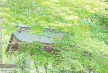 日本京都-琉璃光院-三千院-贵船神社-红叶满天 京都巡礼【专业行程定制，精选热门景点，高效游玩不走回头路，贴心服务保障，轻松】