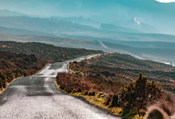 【都柏林自然风光之旅】威克洛山脉国家公园+霍斯小镇+霍斯港【10小时中文专车包车服务，可上门接送】