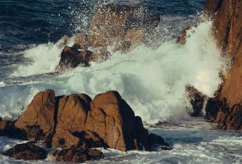 美国旧金山往返半月湾-蒙特雷-卡梅尔17里等景点包车-精选【专属客服和本地中文司机，一家一团包车】