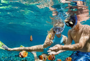 富国岛隐藏的瑰宝——岛屿独木舟和日落地中海小镇【探索三座美丽的岛屿：梅鲁特岛、金贵岛和罗伊岛 浮潜观赏色彩斑斓的珊瑚礁 包含飞行相机照片和视频】