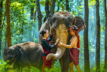 【广州定制包车】长隆野生动物世界接/送【单趟接送，也可以包车全天】