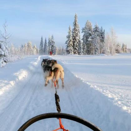 美国费尔班克斯狗拉雪橇+珍娜温泉【私家包车+行程免费定制】